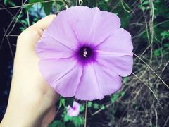 -盛之乡温泉渡假村仕林餐厅