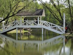 -上海共青森林公园