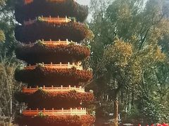 -南山植物园