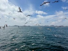 -海驴岛(荣成市)