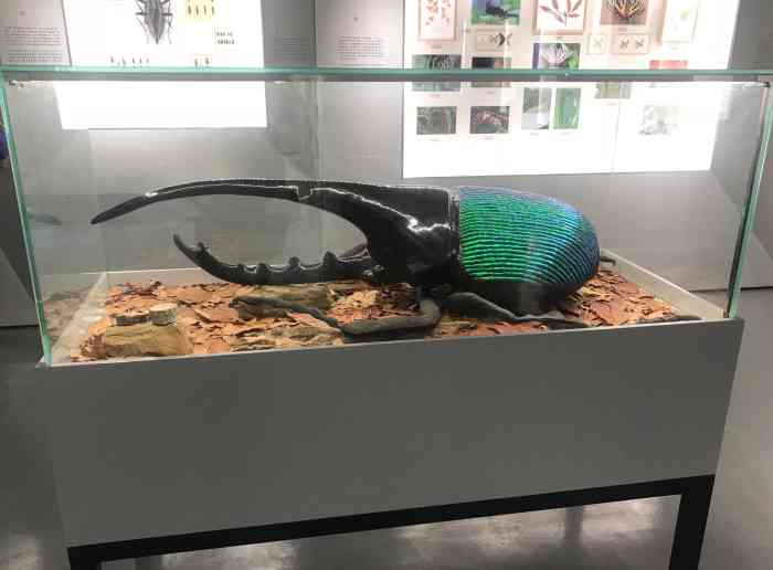 南京紫金山昆虫博物馆