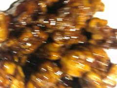 -老宁波1381餐厅(桃源中路店)