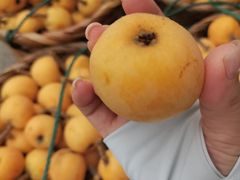 -东山风景区(洞庭东山)