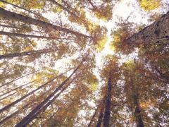 -南京金牛湖风景区