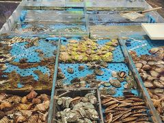 -大连湾旭日·家宴·海肠捞饭(马栏广场店)