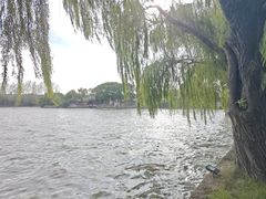 -同里湖度假村(二期店)