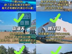 -巧克力渔家.小船海鲜胶东菜(万平口店)