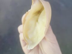 -易老大蛋烘糕(奎星楼总店)