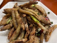 -品雅轩农家乐