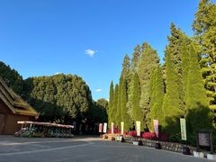 -云南民族村