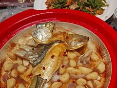 -1937青岛老味道·海肠捞饭·青岛菜(大鲍岛栈桥店)