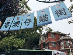 -猫咪博物馆(顶澳仔猫街店)