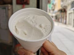 -洪馨椰子