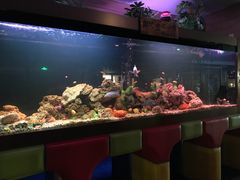 -御池园(顾村公园店)