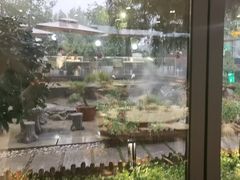 -蘇河湾·新鲁菜·泰山宴(泰山店)