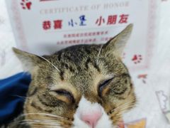 -御宝贝24h宠物医院·转诊中心·CT核磁血透中心(厦门总院)