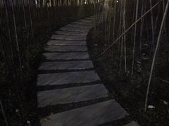 -常州古运河