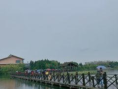 -溱湖国家湿地公园