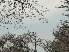 -味多美蛋糕(三元桥店)