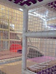 -奈尔宝·儿童乐园·亲子餐厅(华采天地店)