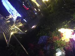 -哈根达斯(宁波和义店)