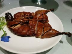 -沪碟·精菜坊(闵行店)