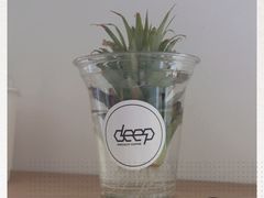 -DEEP COFFEE(瑞光烘焙工厂店)