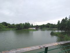 -尚贤河湿地