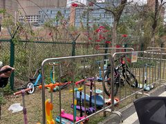 -光明小镇欢乐田园