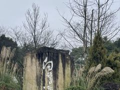 -白鹭湾湿地公园