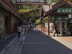 -野象谷景区