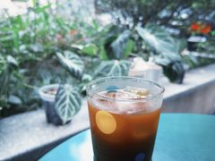 -SAFARI COFFEE