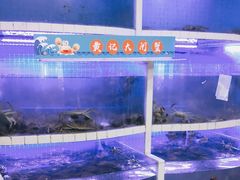 水产区-黄记大闸蟹专卖店·活蟹·醉蟹