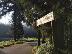 -武陵山森林公园