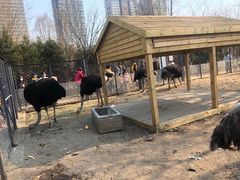 -长白岛森林公园