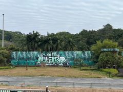 -深圳野生动物园