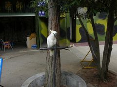 -大嶝英雄三岛战地观光园