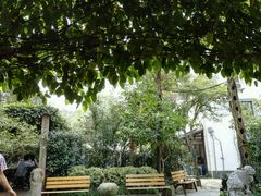 -旅马餐厅(茅家埠店)