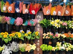 -循礼门鲜花花市(武汉循礼门店)