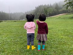 -武陵山森林公园