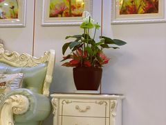 -爱尚花坊(大林路店)