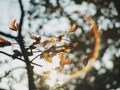 -江西阳明山国家森林公园