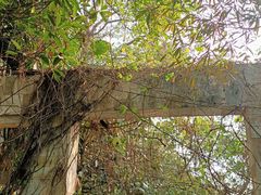 -华南国家植物园-售票处