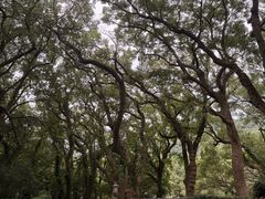 -普陀山风景名胜区-法雨禅寺