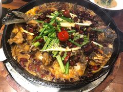 -老板恋上鱼(高新万达店)