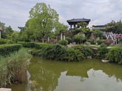 -徐州龟山景区