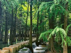 -捞渔河湿地公园