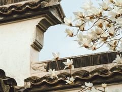 -拙政园