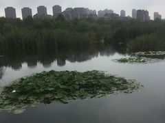 -前关湿地公园