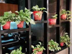 -时尚殿堂明星门店